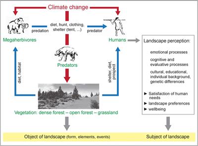 Pleistocene Hypothesis – Moving Savanna Perceptual Preference Hypothesis Beyond Savanna